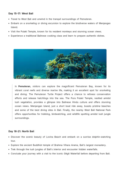 Free 3 Week Bali Itinerary Template to Edit Online
