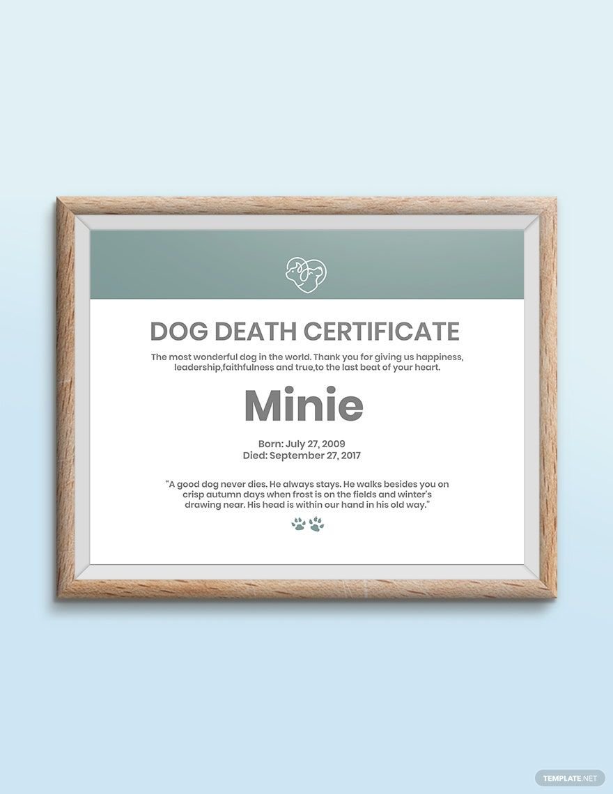 Dog Death Certificate Template in Word, Google Docs, PSD, Apple Pages, Publisher