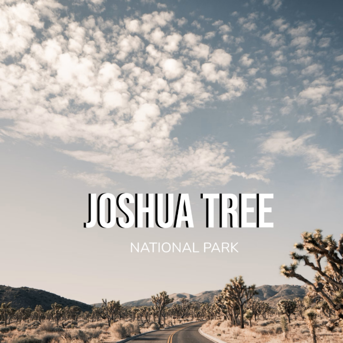 Joshua Tree Itinerary Template - Edit Online & Download