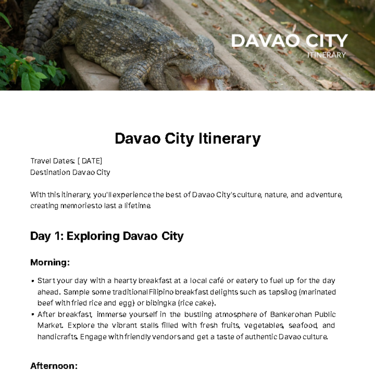 Davao City Itinerary Template - Edit Online & Download Example ...