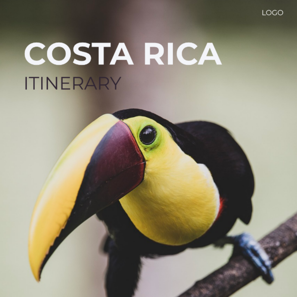 Free 2 Week Costa Rica Itinerary Template - Edit Online & Download ...