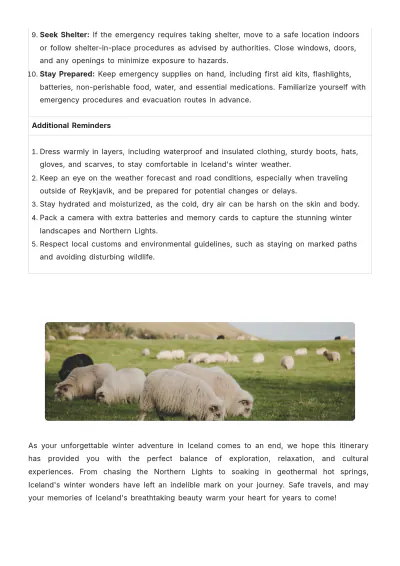 Free Iceland Winter Itinerary Template to Edit Online