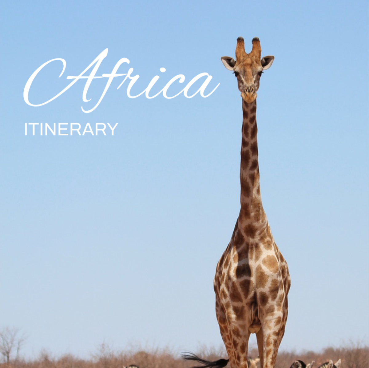 Africa Itinerary Template - Edit Online & Download