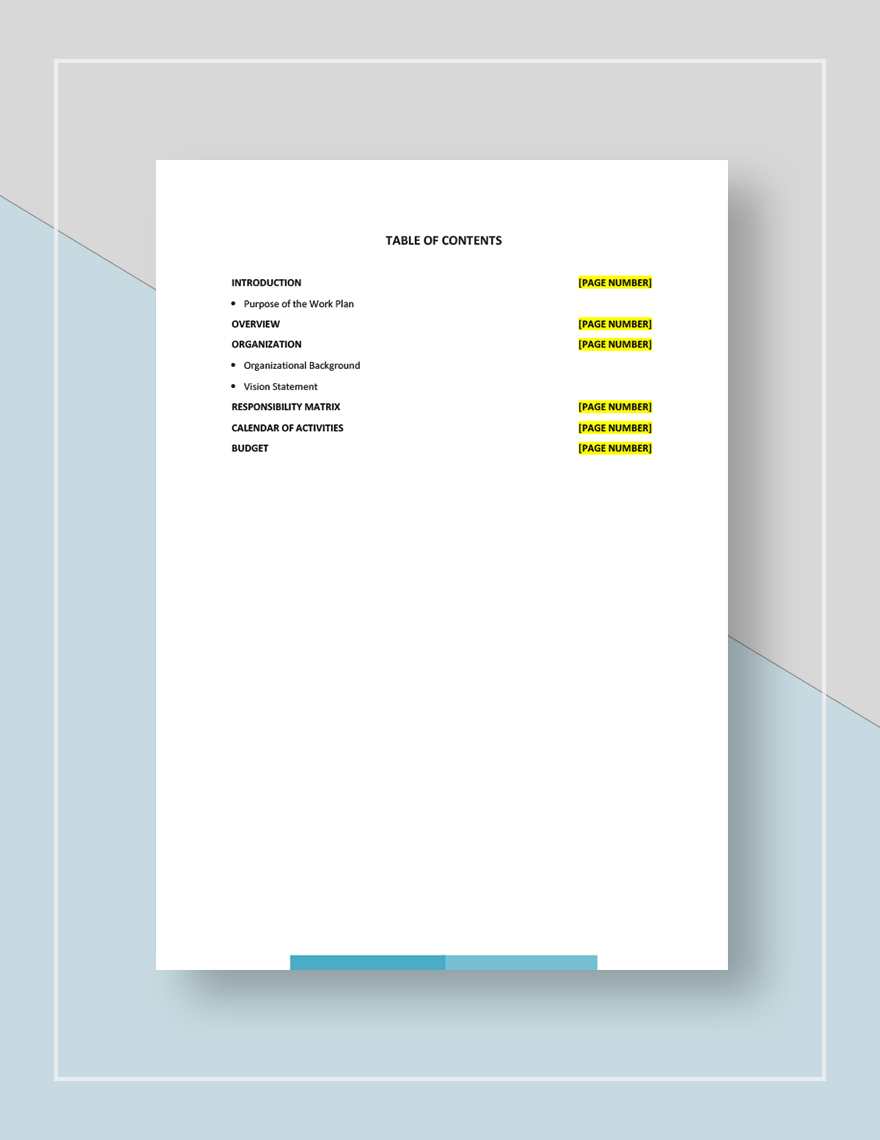 Consultant Work Plan Template