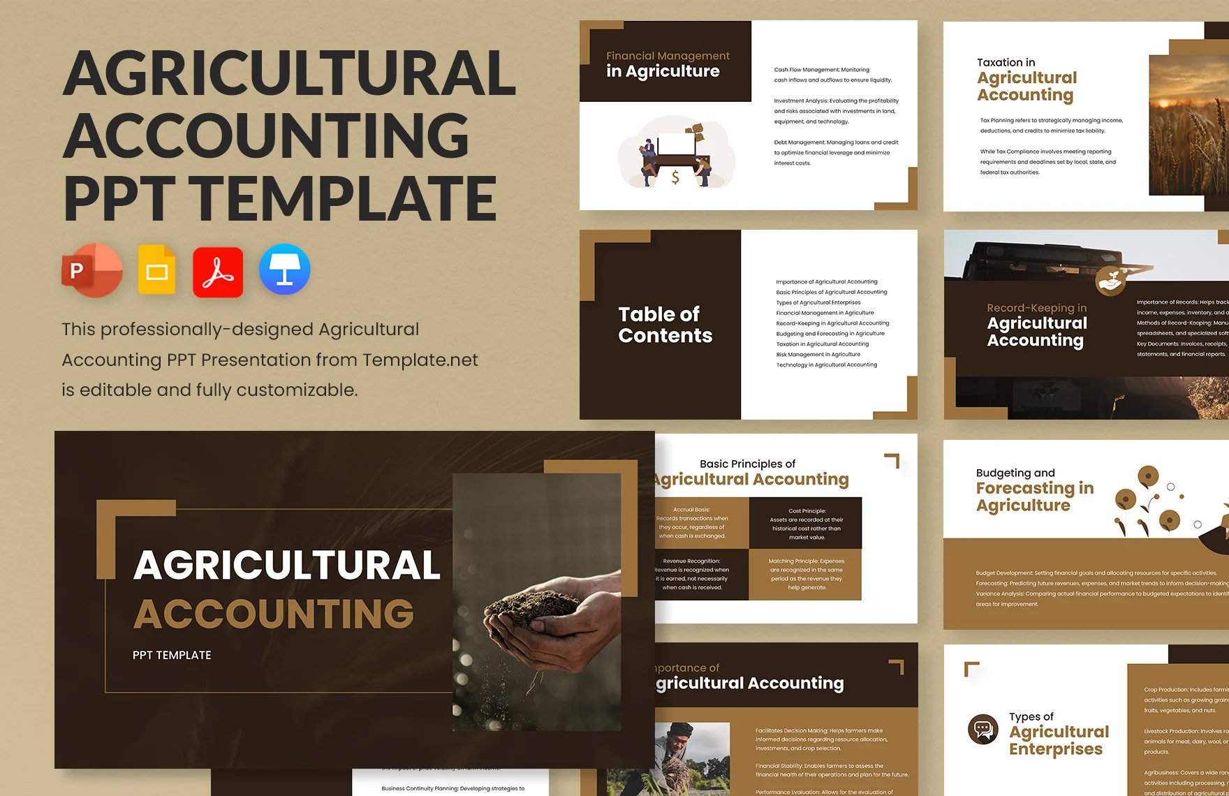 Agricultural Accounting PPT Template in PDF, PowerPoint, Google Slides, Apple Keynote