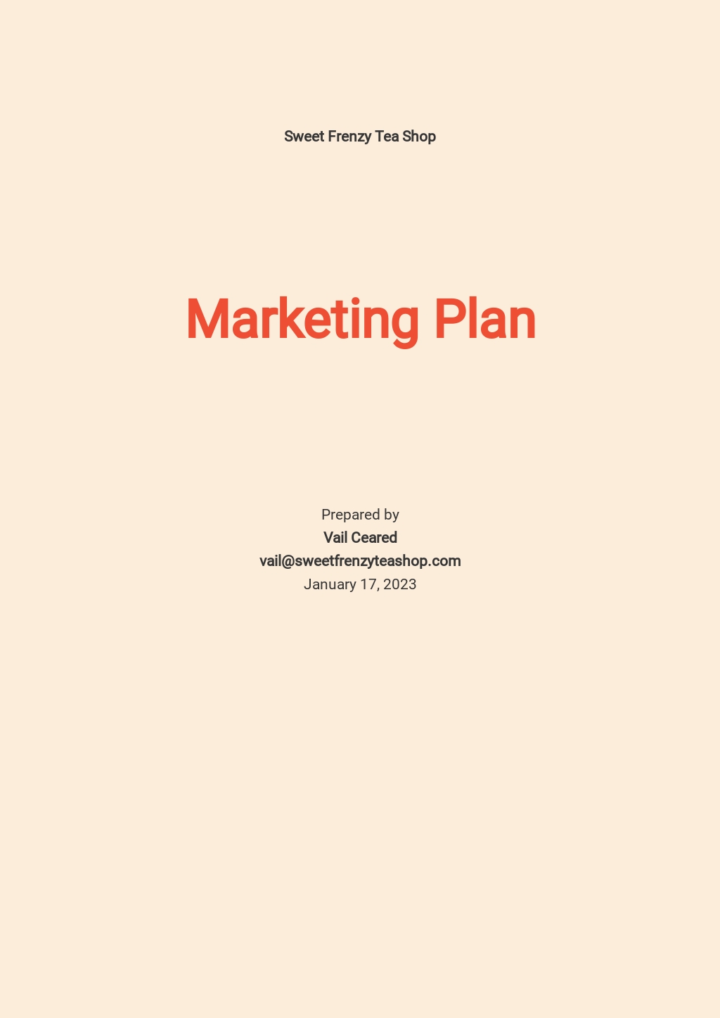 Mix Marketing Plan Template.jpe