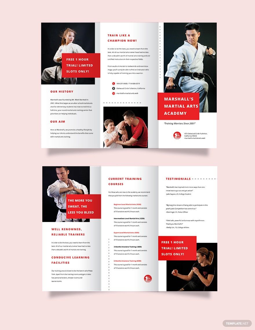 Martial Arts School Tri-Fold Brochure Template in Word, Google Docs, Illustrator, PSD, Apple Pages, Publisher, InDesign