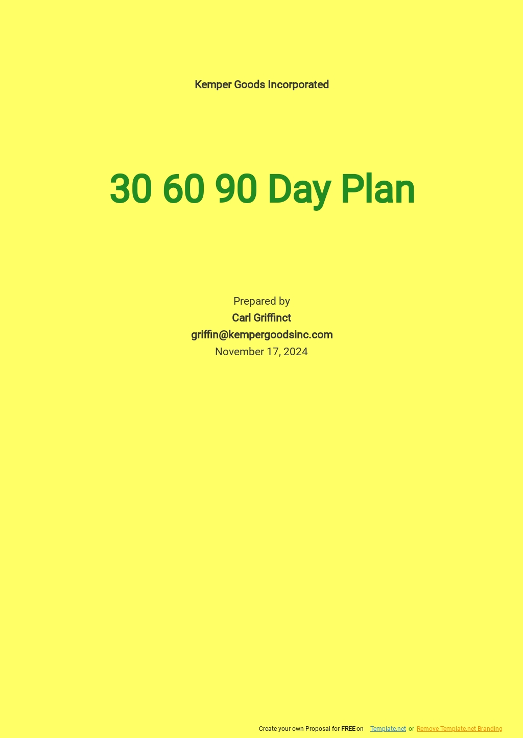 Sample Information Technology Business Plan Template Free PDF