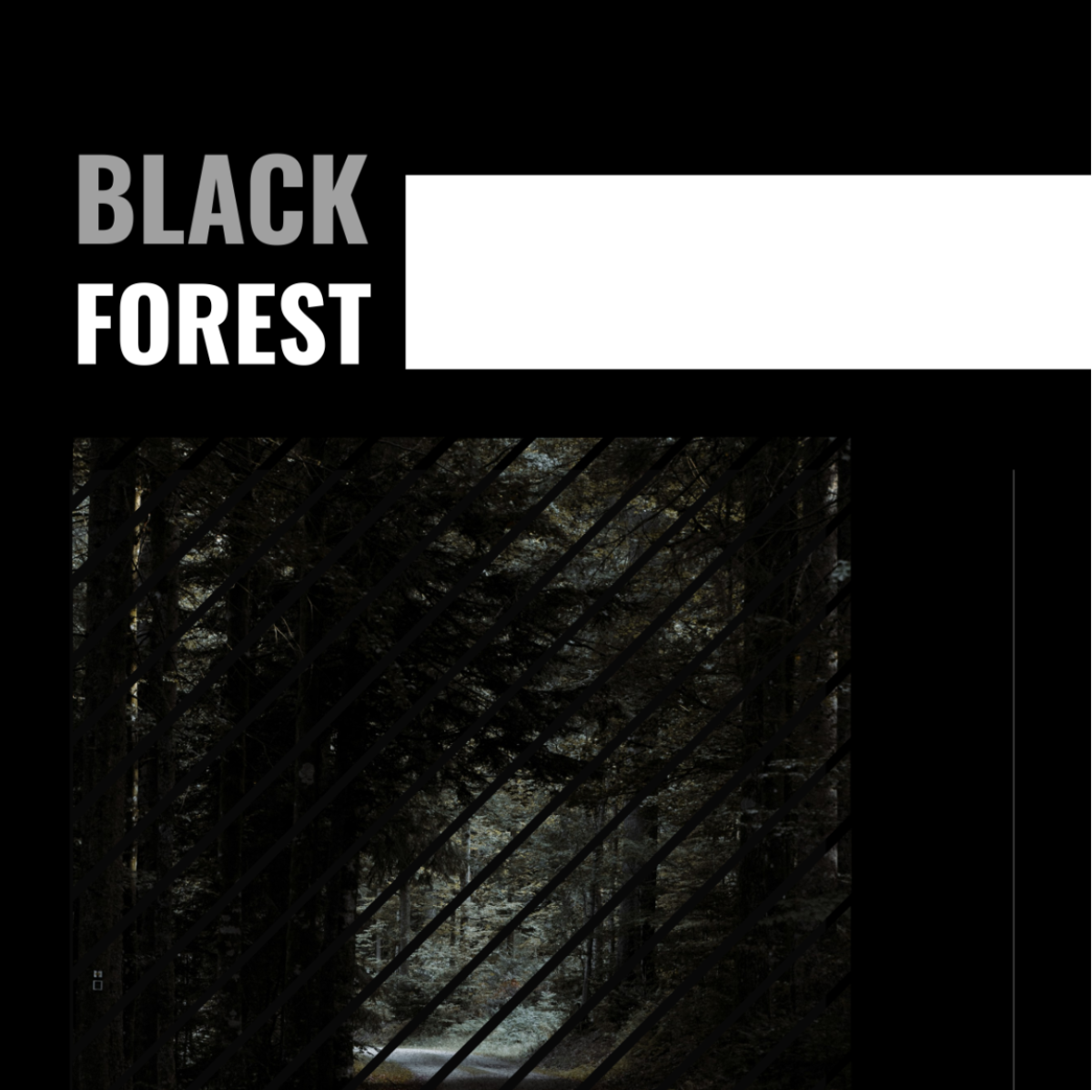 Free Black Forest Itinerary Template