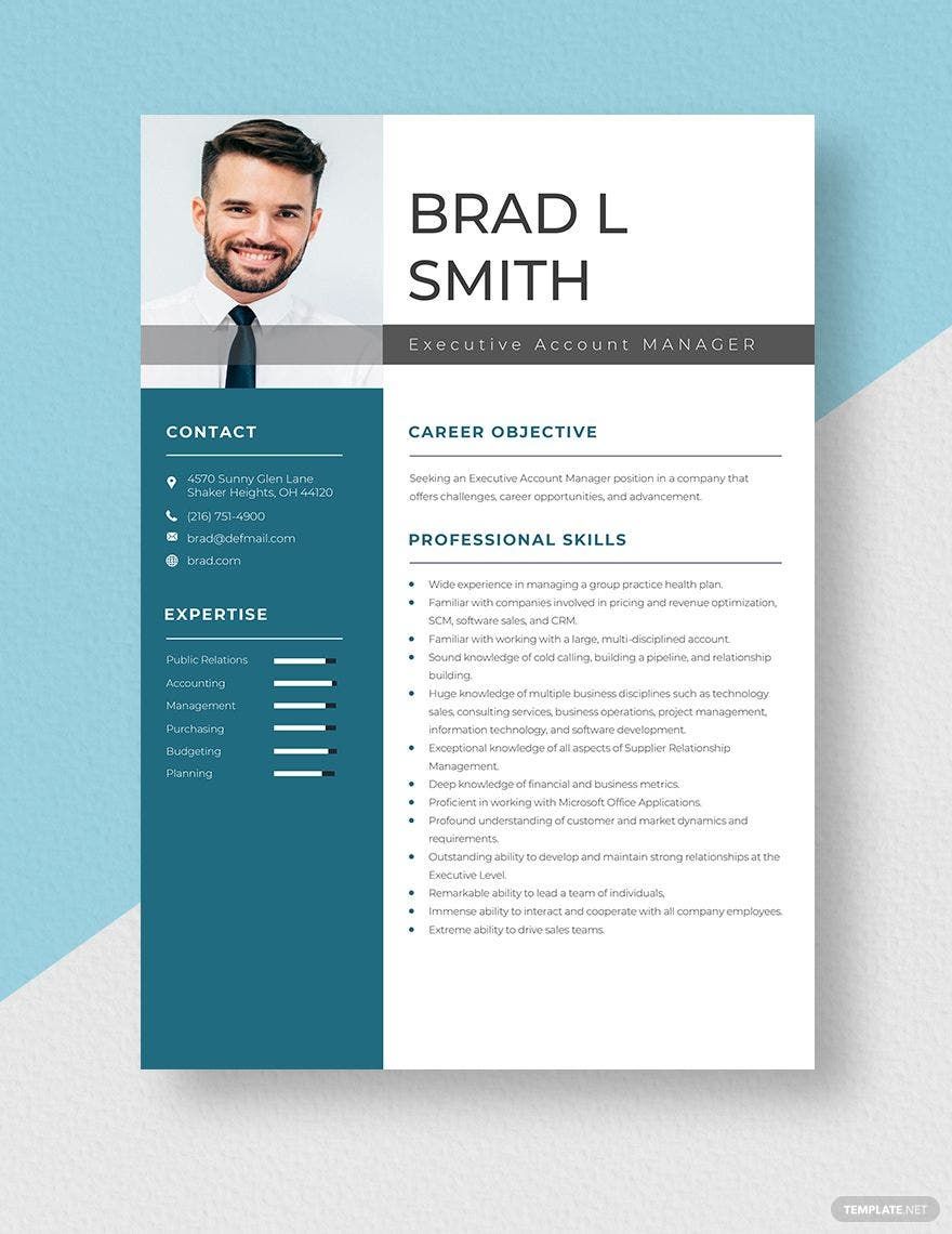 Executive Account Manager Resume
