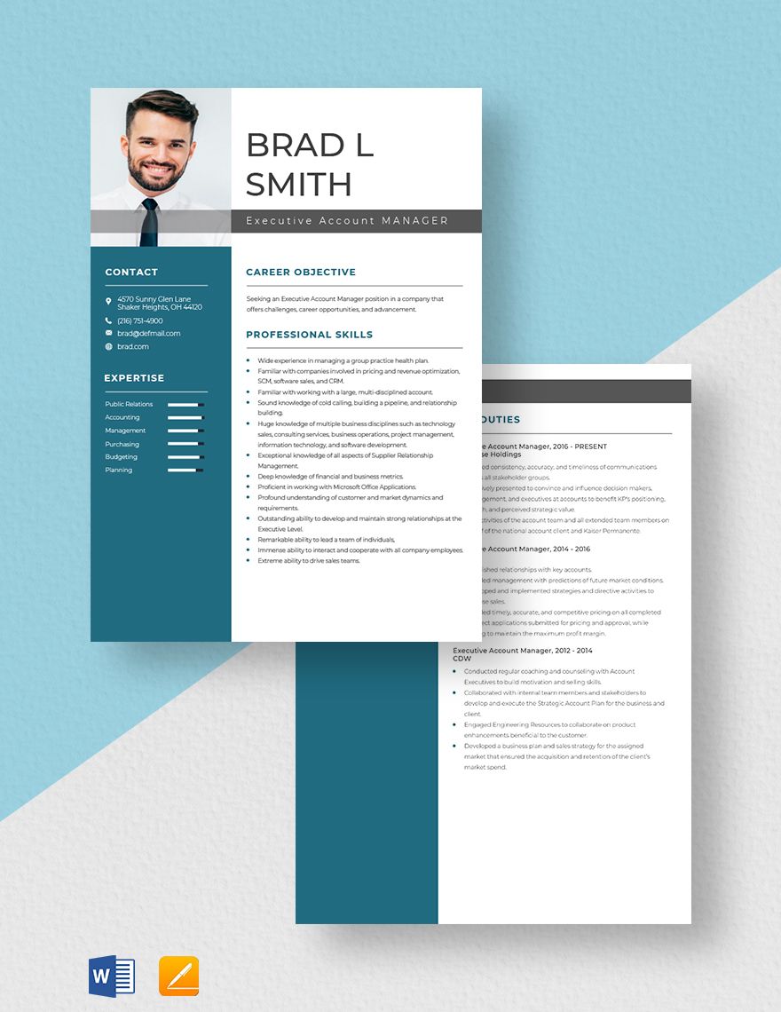 Executive Account Manager Resume