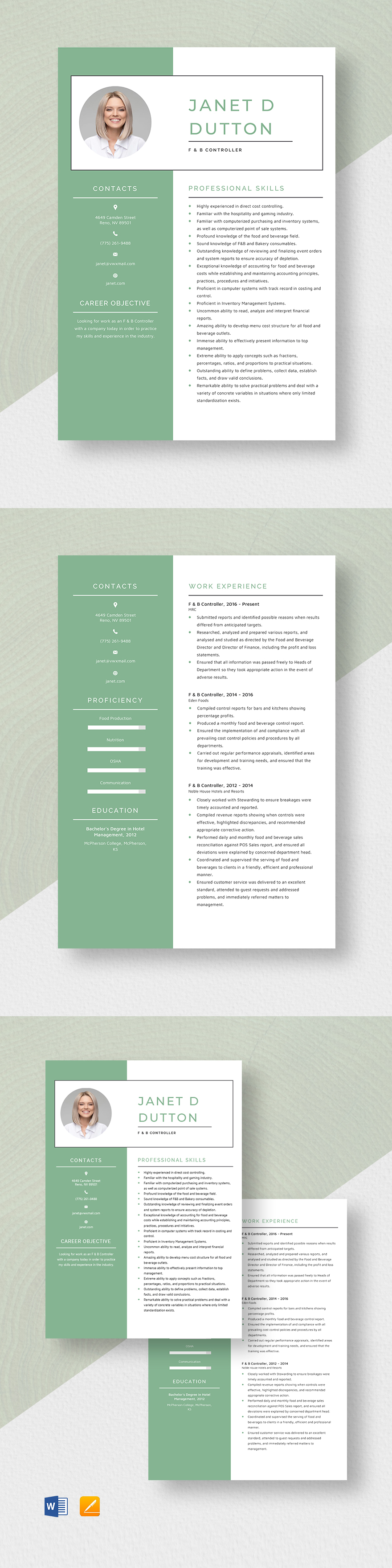 Automobile Production Controller Resume Template InDesign Word