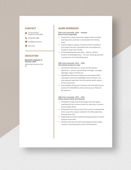 FB Cost Controller Resume Template