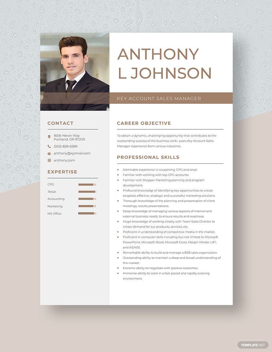 Free Key Account Sales Manager Resume Template
