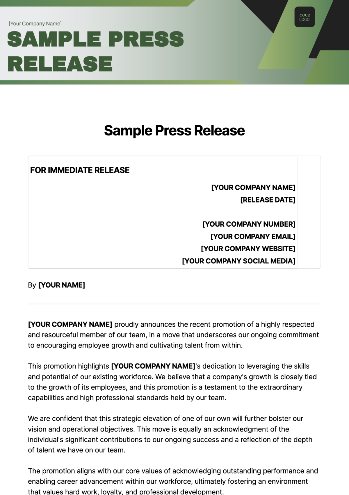 Sample Press Release Template