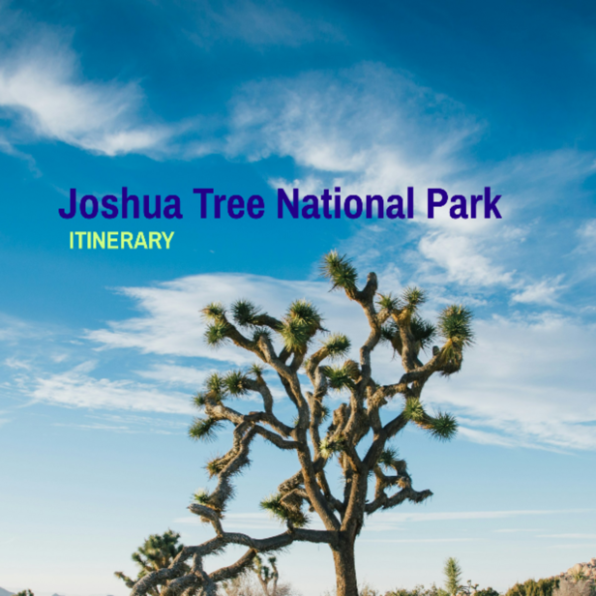 Joshua Tree National Park Itinerary Template - Edit Online & Download