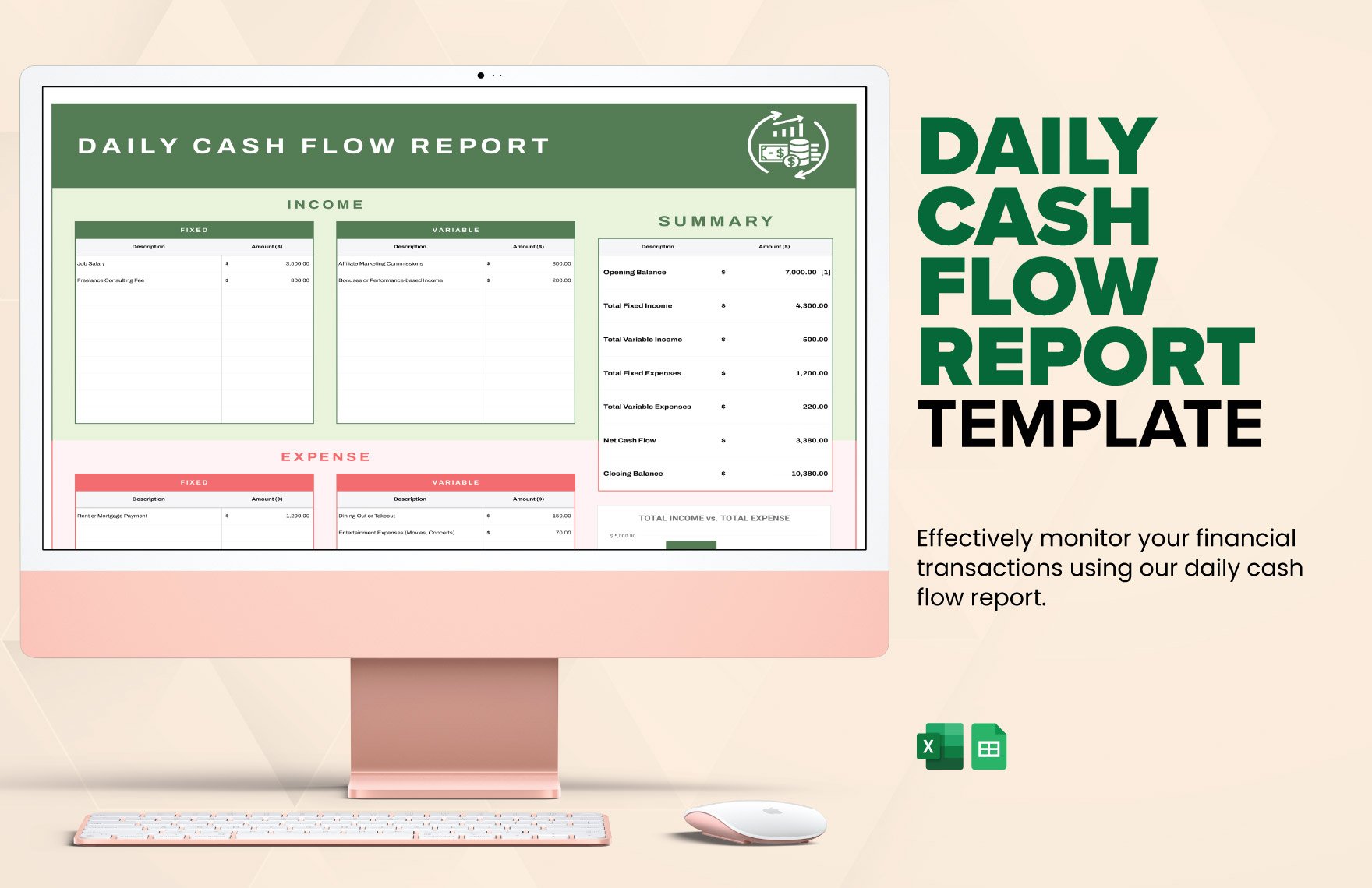 Daily Cash Flow Report Template