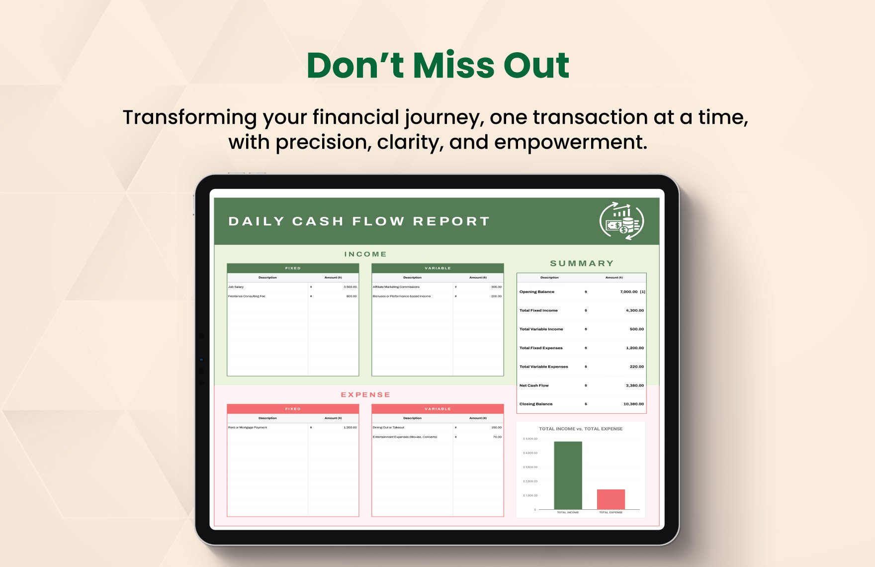 Daily Cash Flow Report Template