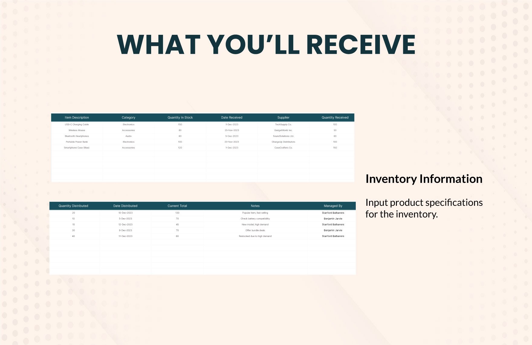 Daily Inventory Report Template