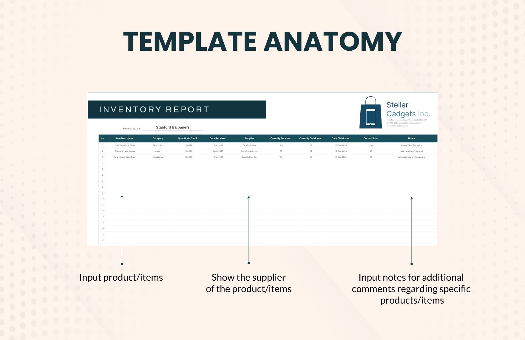 Daily Inventory Report Template