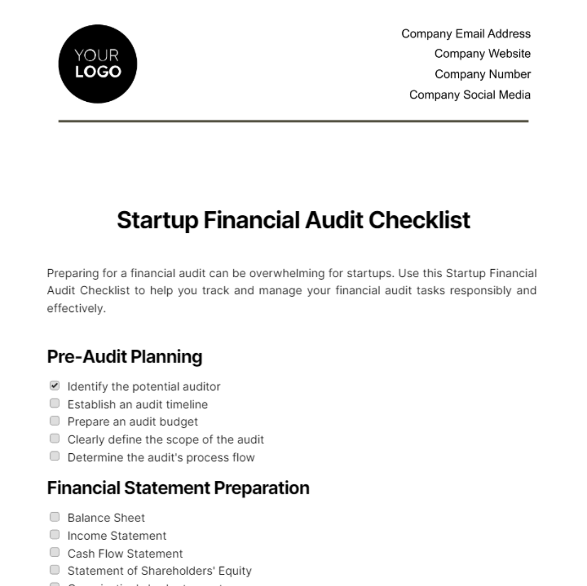 Startup Financial Audit Checklist Template