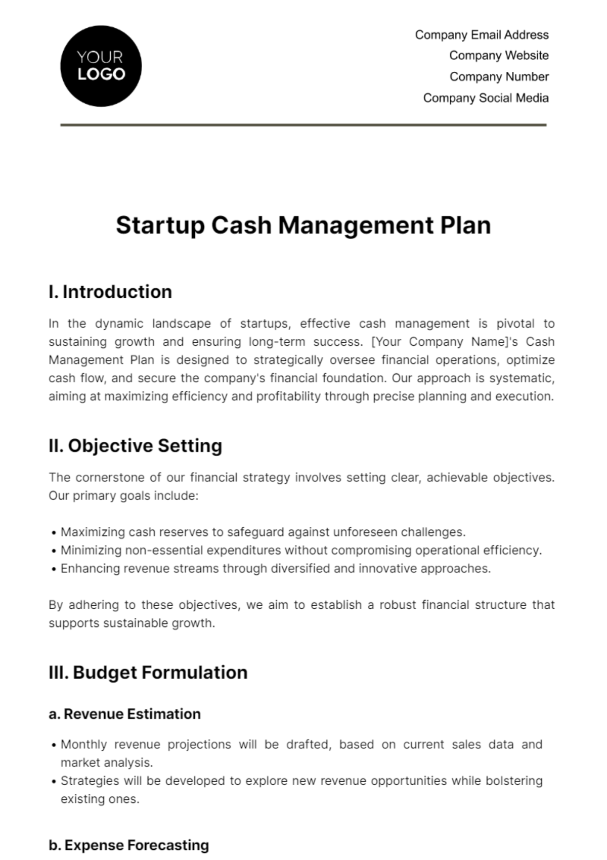 Free Startup Cash Management Plan Template