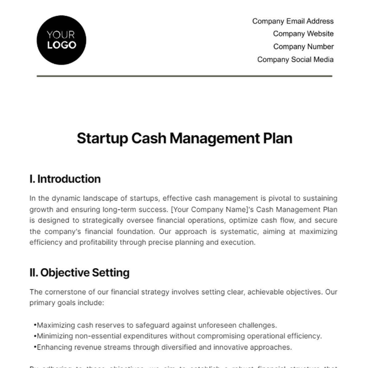 Startup Cash Management Plan Template - Edit Online & Download