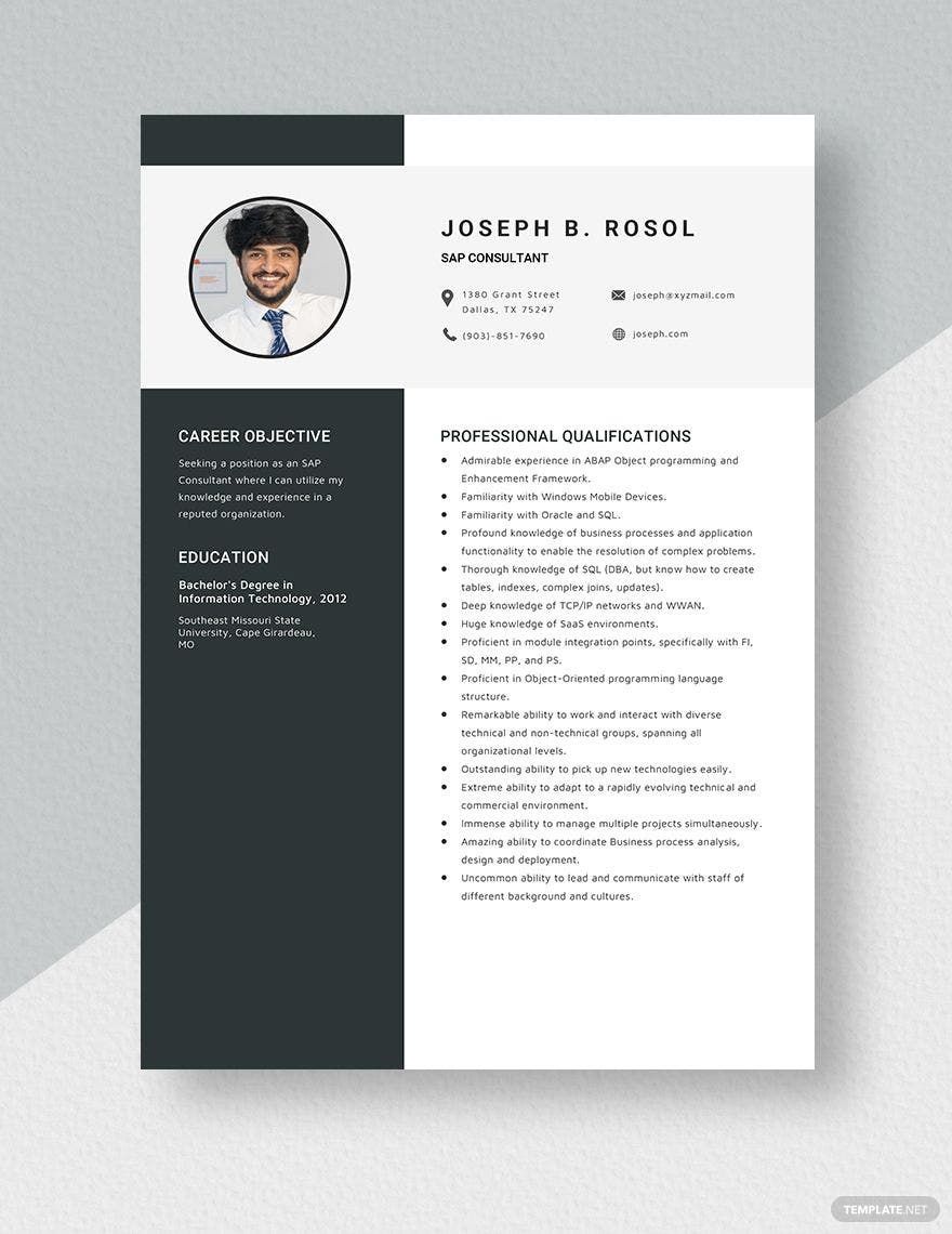 sap-consultant-resume-in-word-pages-download-template