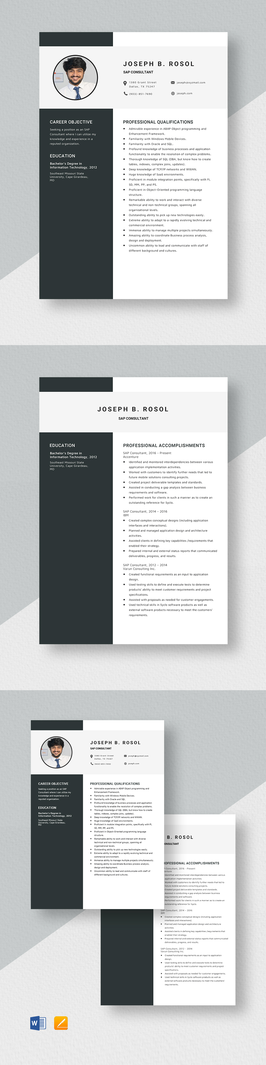 SAP Functional Consultant Resume Template Word Apple Pages