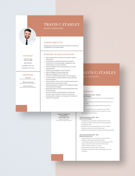 Sap Fico Consultant Resume Template Word Doc Apple Mac