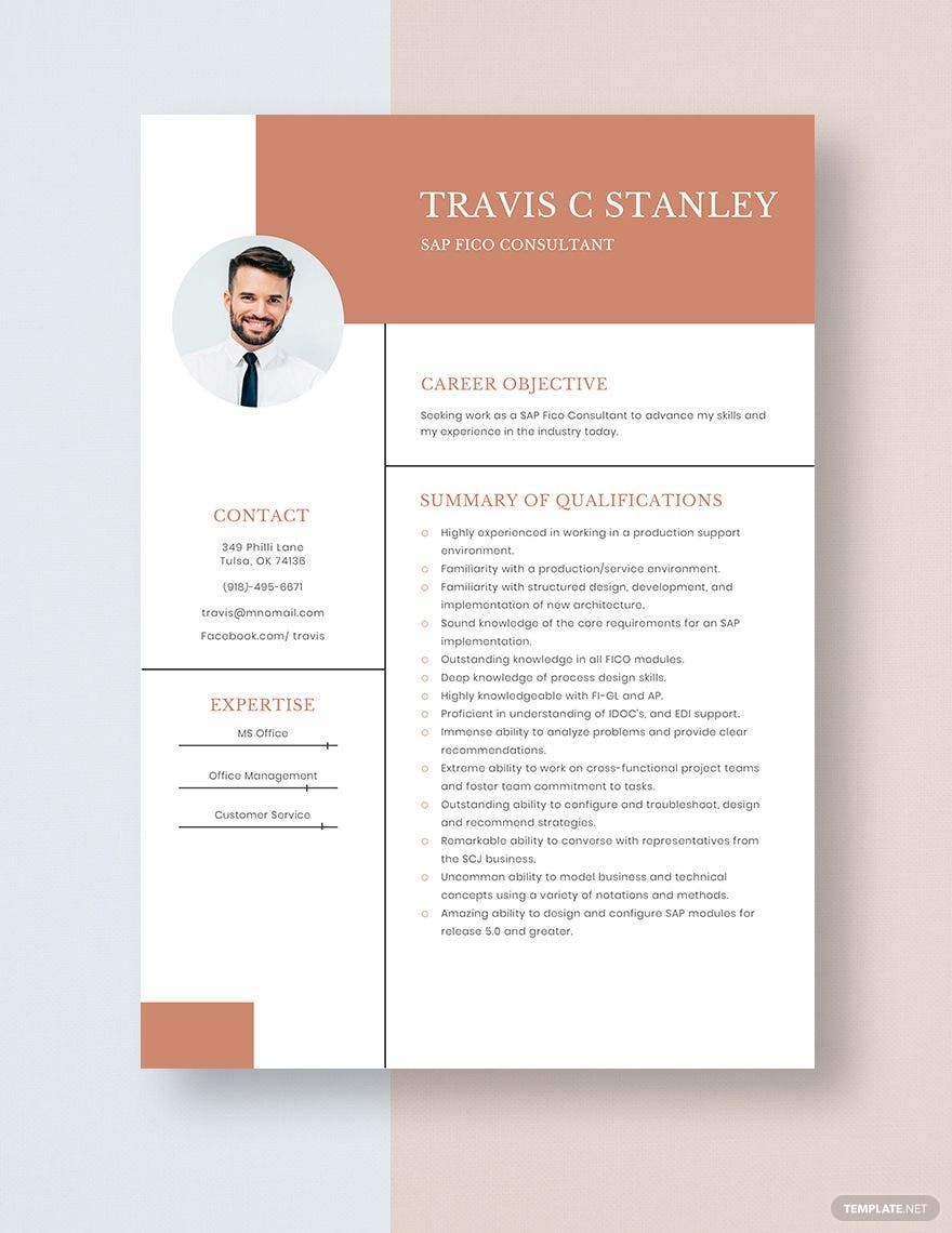 SAP Fico Consultant Resume in Word, Apple Pages