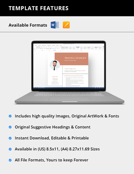 Sap Fico Consultant Resume Template Word Doc Apple Mac