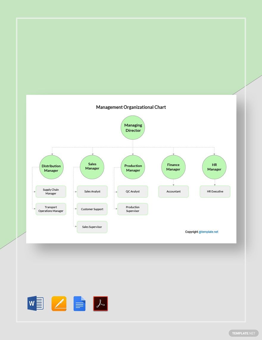 Sample Management Organizational Chart Template
