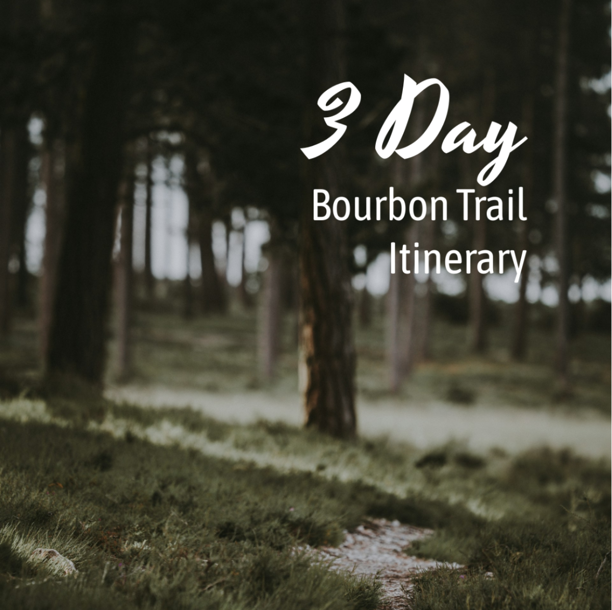 3 Day Bourbon Trail Itinerary Template - Edit Online & Download