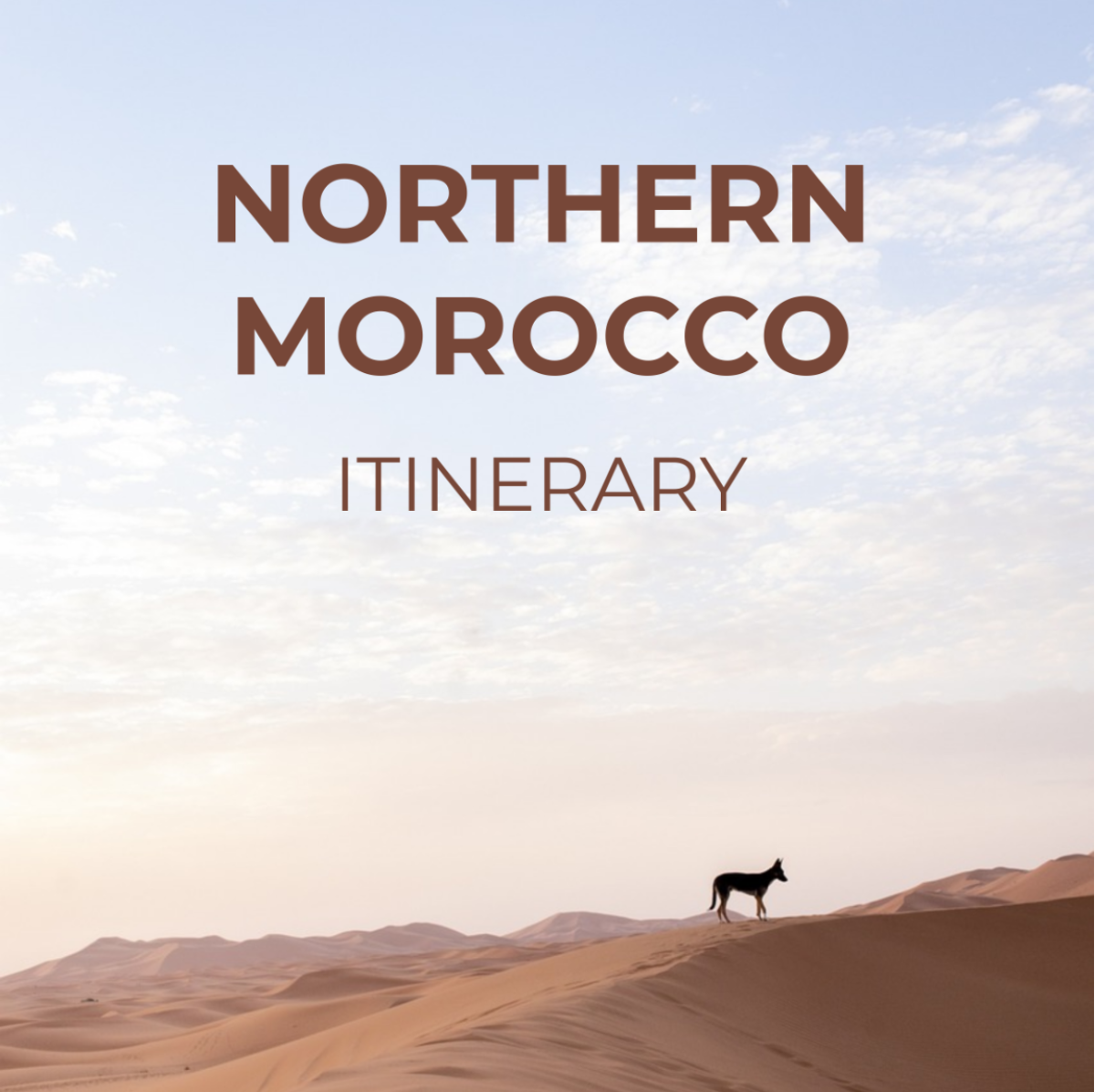 Northern Morocco Itinerary Template - Edit Online & Download