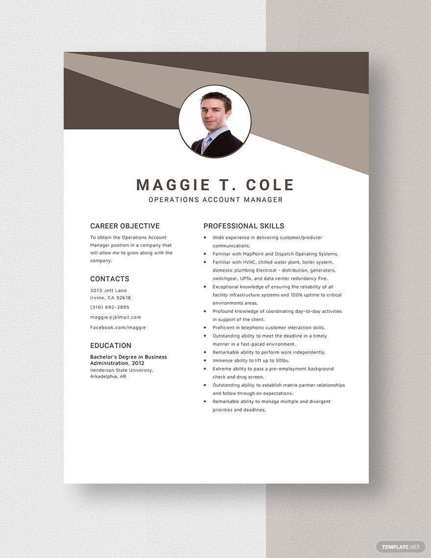 Operations Account Manager Resume in Word, Apple Pages