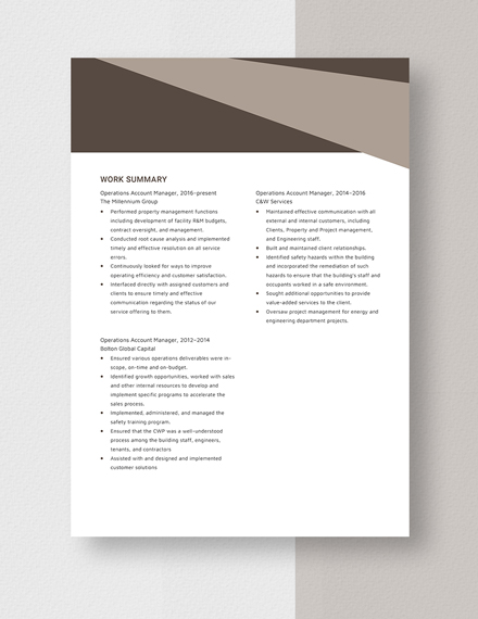 Operations Account Manager Resume Template