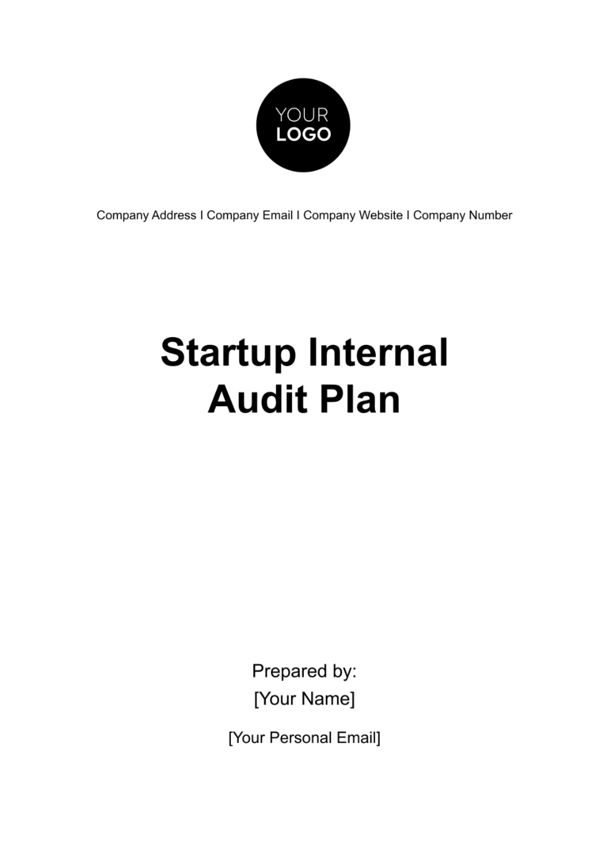 Startup Internal Audit Plan Template