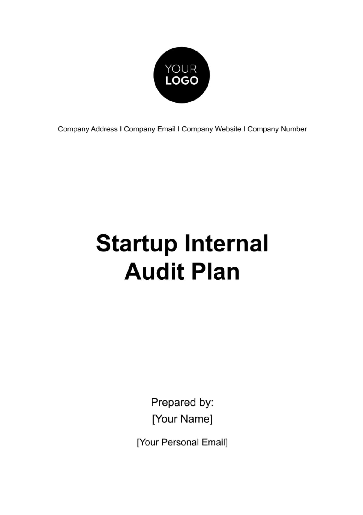 Startup Internal Audit Plan Template - Edit Online & Download