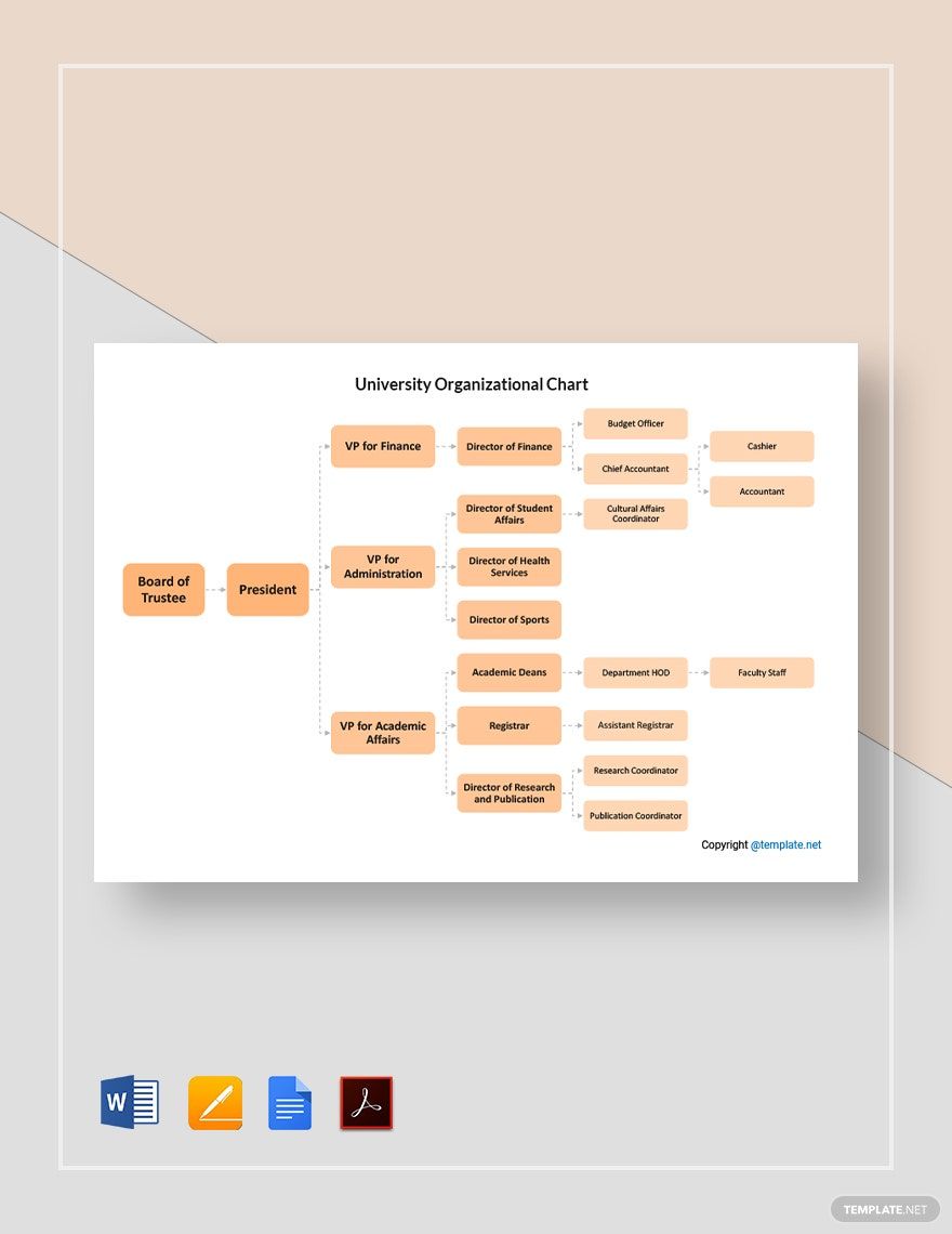 Sample University Organizational Chart Template