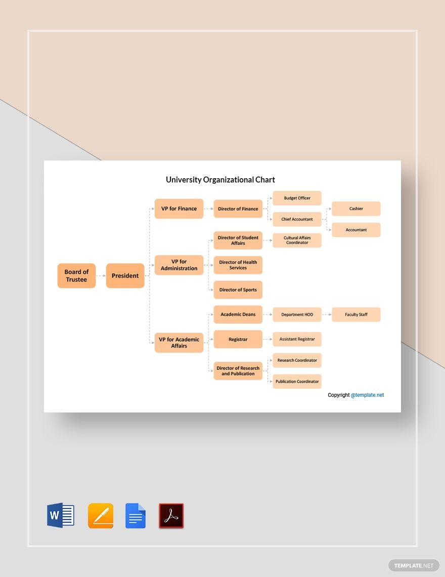 FREE Education Organizational Chart Word Template Download Template