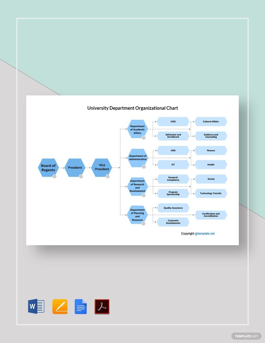 University Department Organizational Chart Template