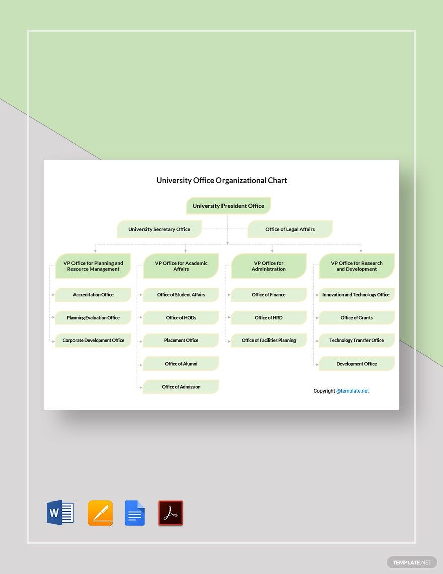 University Office Organizational Chart Template