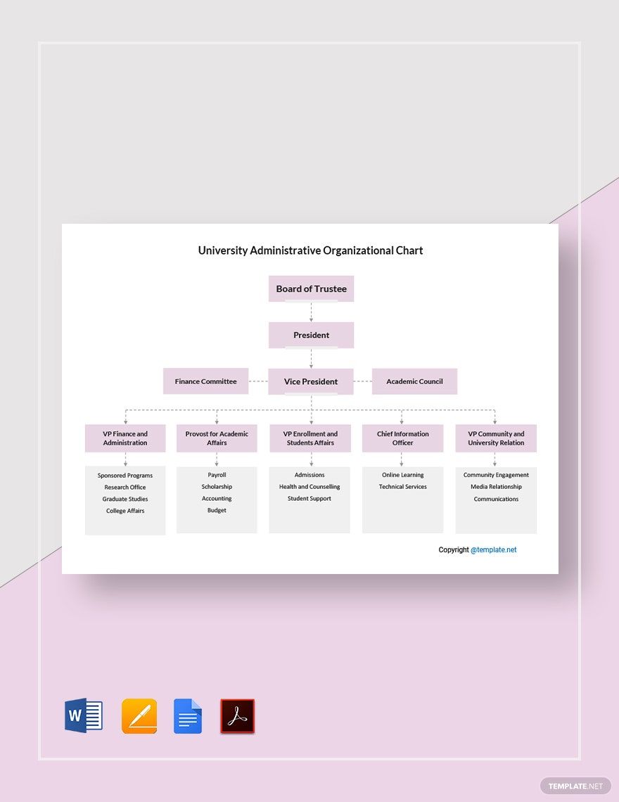 University Administrative Organizational Chart Template