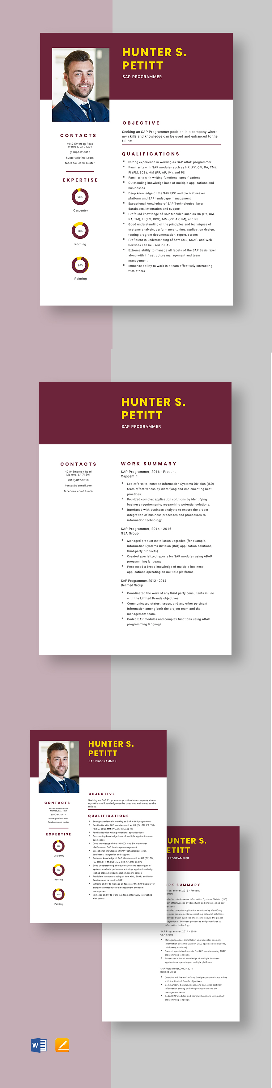 SAP Programmer Resume Template Word Apple Pages Template net