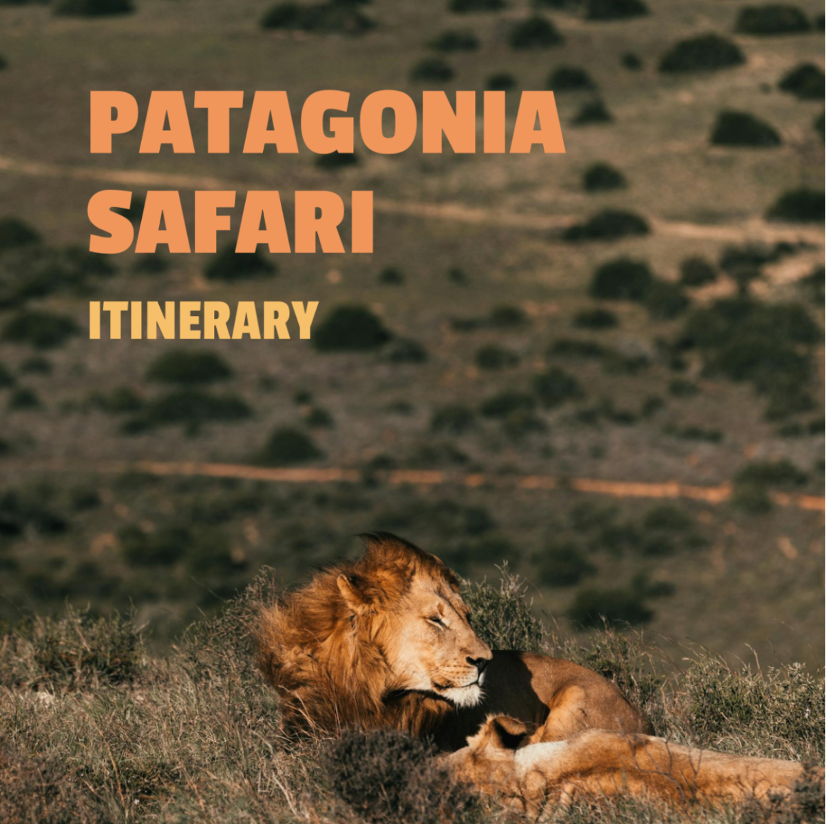 Patagonia Safari Itinerary Template - Edit Online & Download