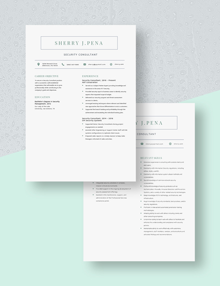 Security Consultant Resume Download