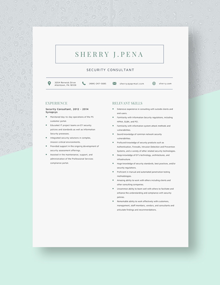 Security Consultant Resume Template