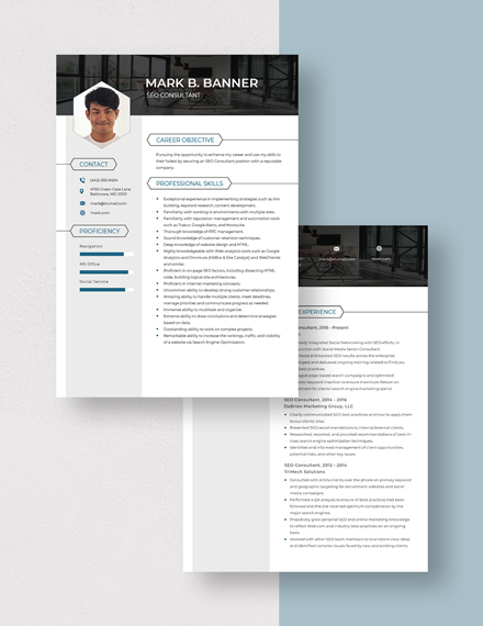 SEO Consultant Resume Download