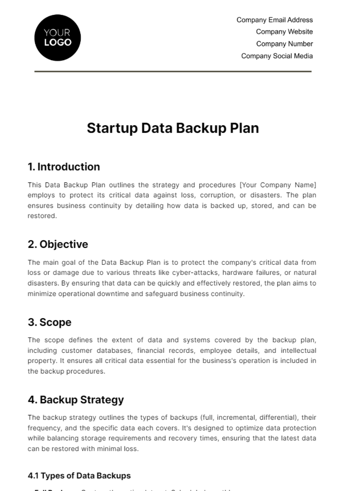 Startup Data Backup Plan Template